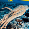 Tonies National Geographic Kids: Octopus Tonie